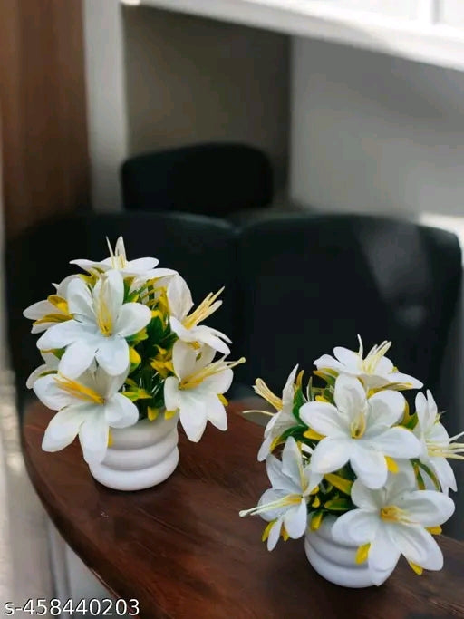 Attractive flowers plant for home, office and kitchen decoration