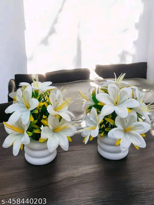 Attractive flowers plant for home, office and kitchen decoration