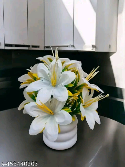 Attractive flowers plant for home, office and kitchen decoration
