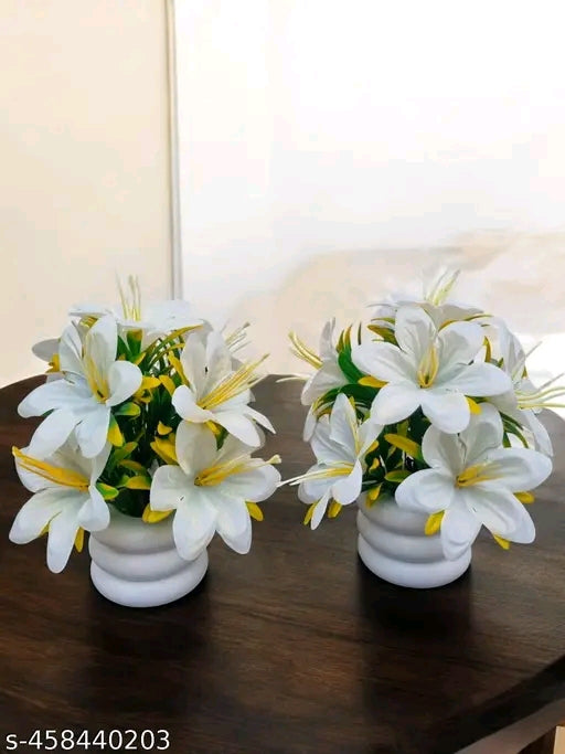 Attractive flowers plant for home, office and kitchen decoration